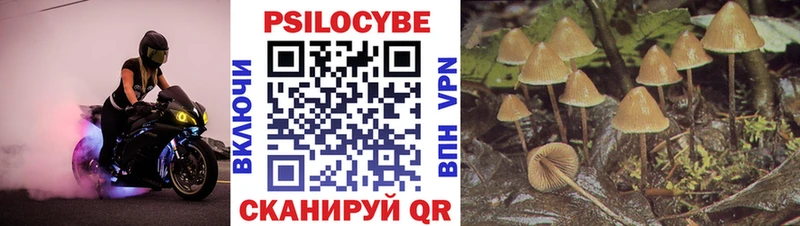 hydra ONION  где продают   Тутаев  мориарти Telegram  Псилоцибиновые грибы GOLDEN TEACHER 