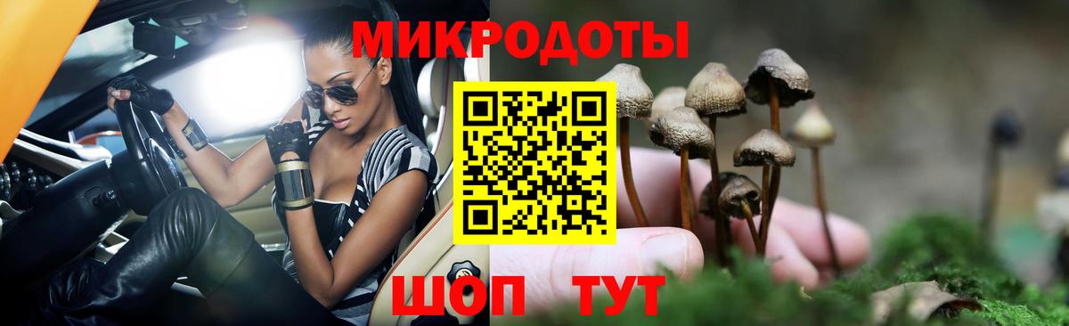 Галлюциногенные грибы прущие грибы  Вход с VPN  Тутаев 