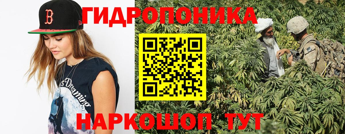 Каннабис Amnesia  Шишки марихуана планчик  Вход с VPN  Шишки марихуана VHQ  Марихуана LSD WEED  Тутаев 